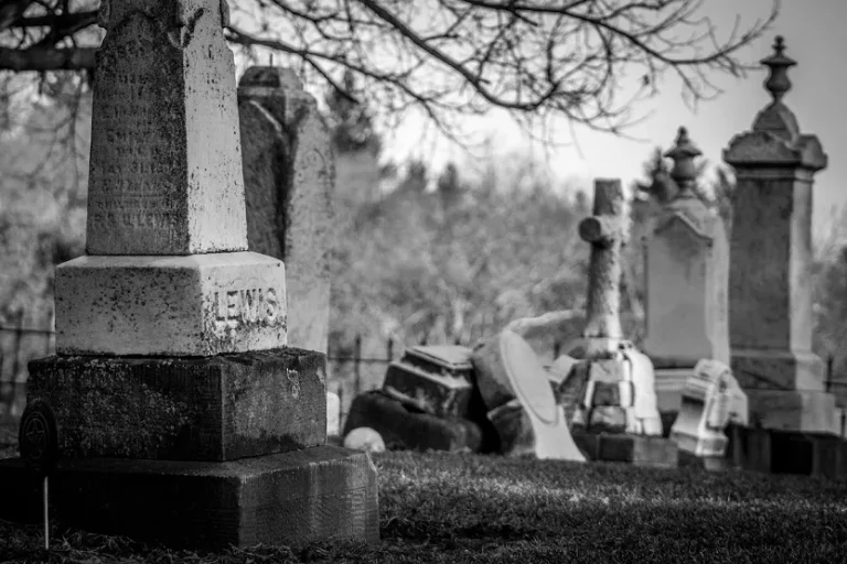 Cementerio (Wendy Scofield Unsplash)